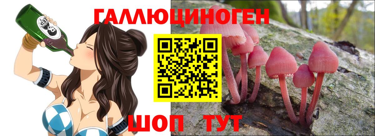 Псилоцибиновые грибы прущие грибы Нальчик